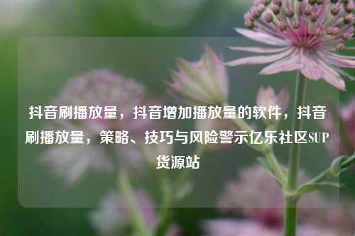 抖音刷播放量，抖音增加播放量的软件，抖音刷播放量	，策略、技巧与风险警示亿乐社区SUP货源站  第1张